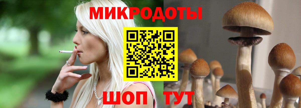 Псилоцибиновые грибы GOLDEN TEACHER  Псилоцибиновые грибы Psilocybine cubensis  Вход с VPN  Кореновск 